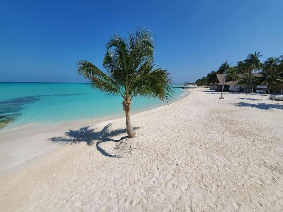 شقة Casa Salina إيسلا موخيريس المظهر الخارجي الصورة